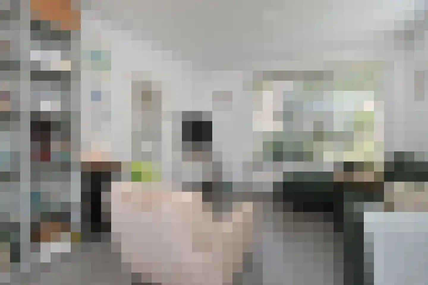 De Genestetstraat 25 Voorburg thumbnail 9