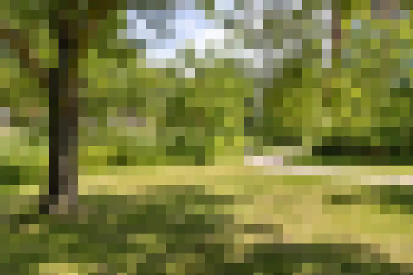 De Genestetstraat 26 Leiden thumbnail 25