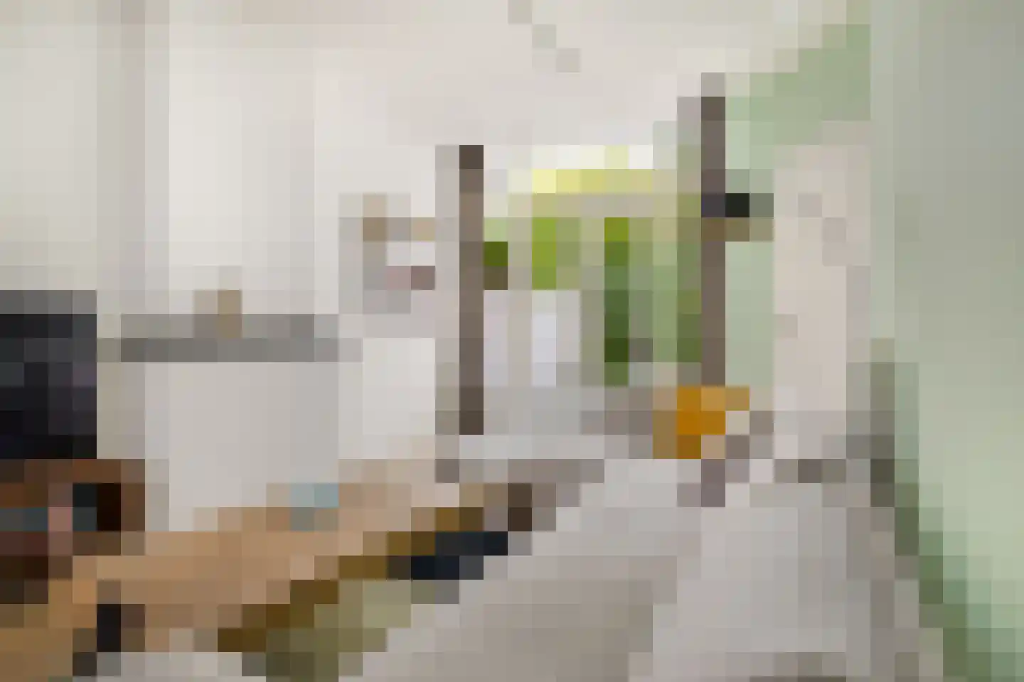 De Genestetstraat 26 Leiden thumbnail 5