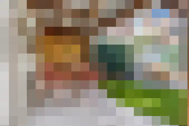 De Genestetstraat 26 Zwolle thumbnail 34
