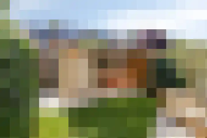 De Genestetstraat 26 Zwolle thumbnail 5