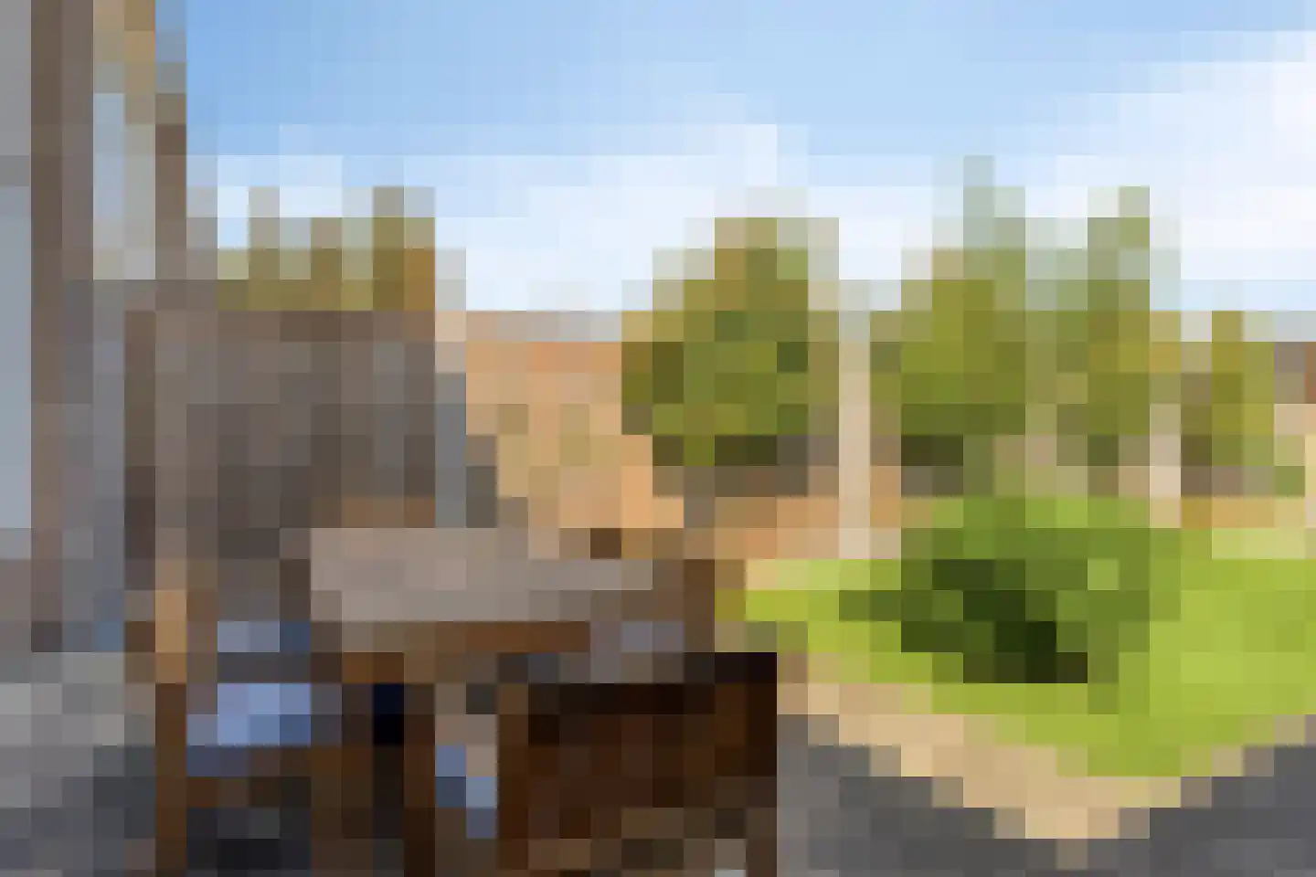 De Genestetstraat 29 Etten-Leur thumbnail 36