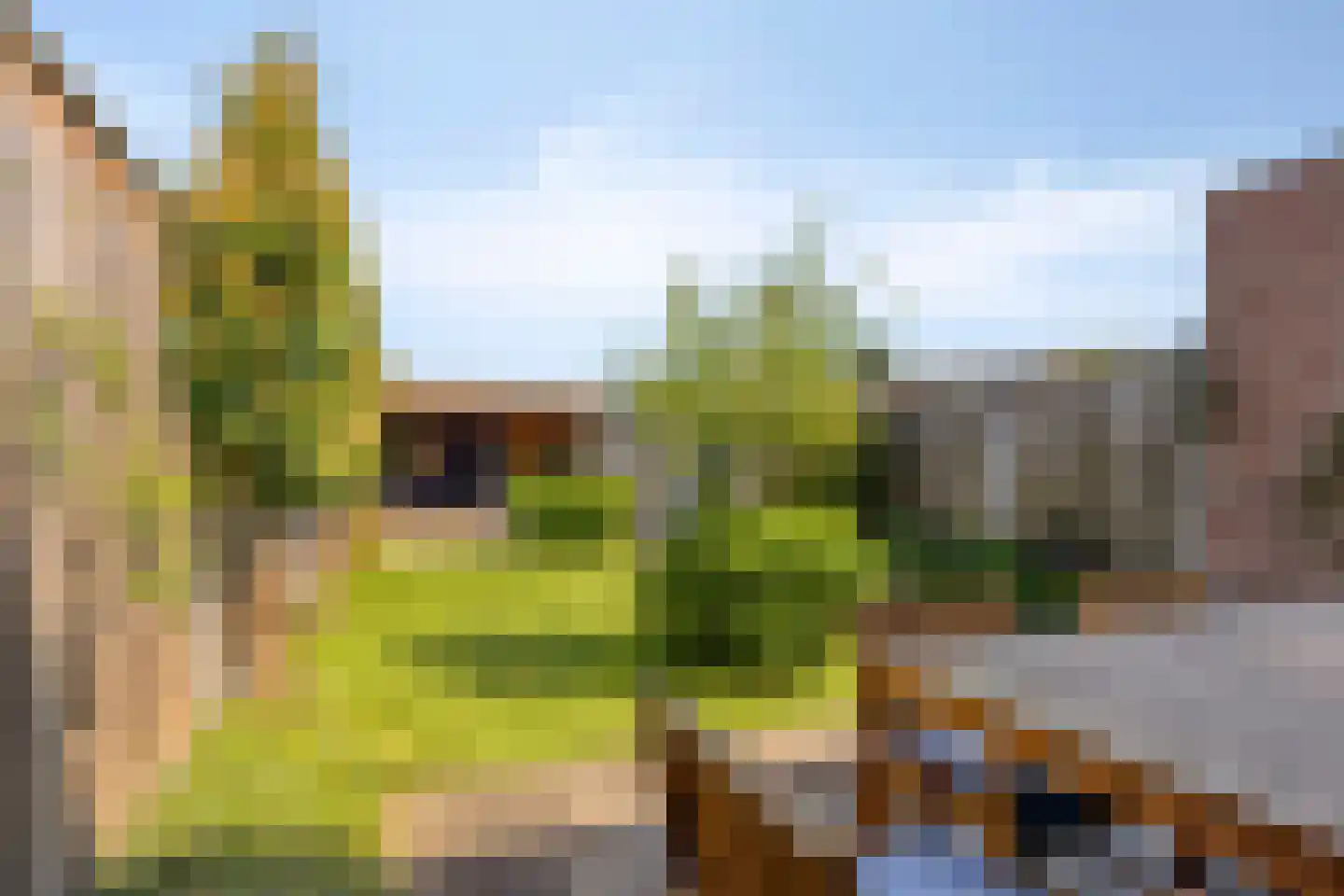 De Genestetstraat 29 Etten-Leur thumbnail 37