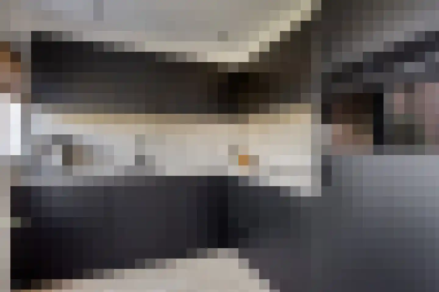 De Genestetstraat 29 Etten-Leur thumbnail 4