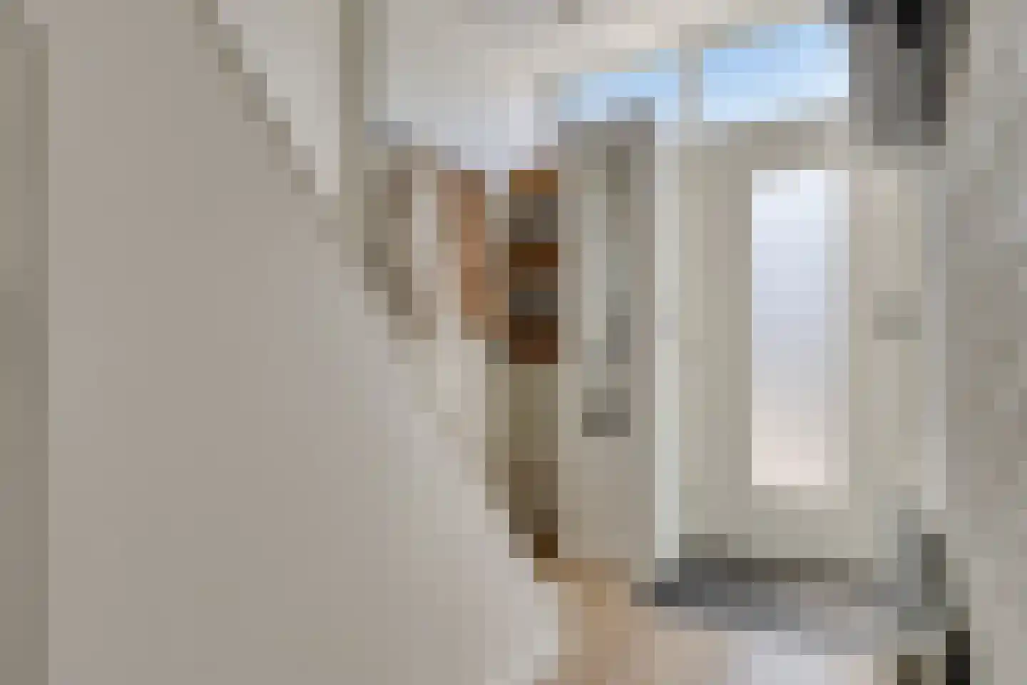 De Genestetstraat 29 Etten-Leur thumbnail 9