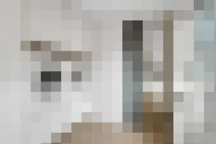 de Genestetstraat 30 Nijverdal thumbnail 9