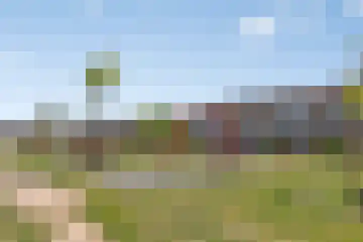 De Genestetstraat 31 Etten-Leur thumbnail 38