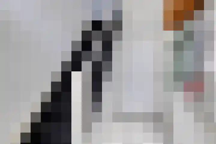 De Genestetstraat 31 Etten-Leur thumbnail 7