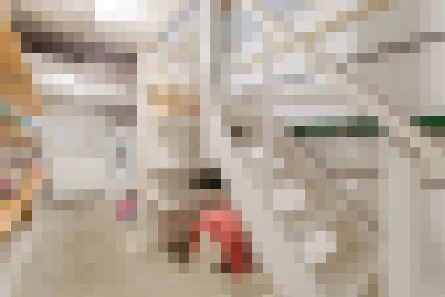 de Genestetstraat 33 Venlo thumbnail 36