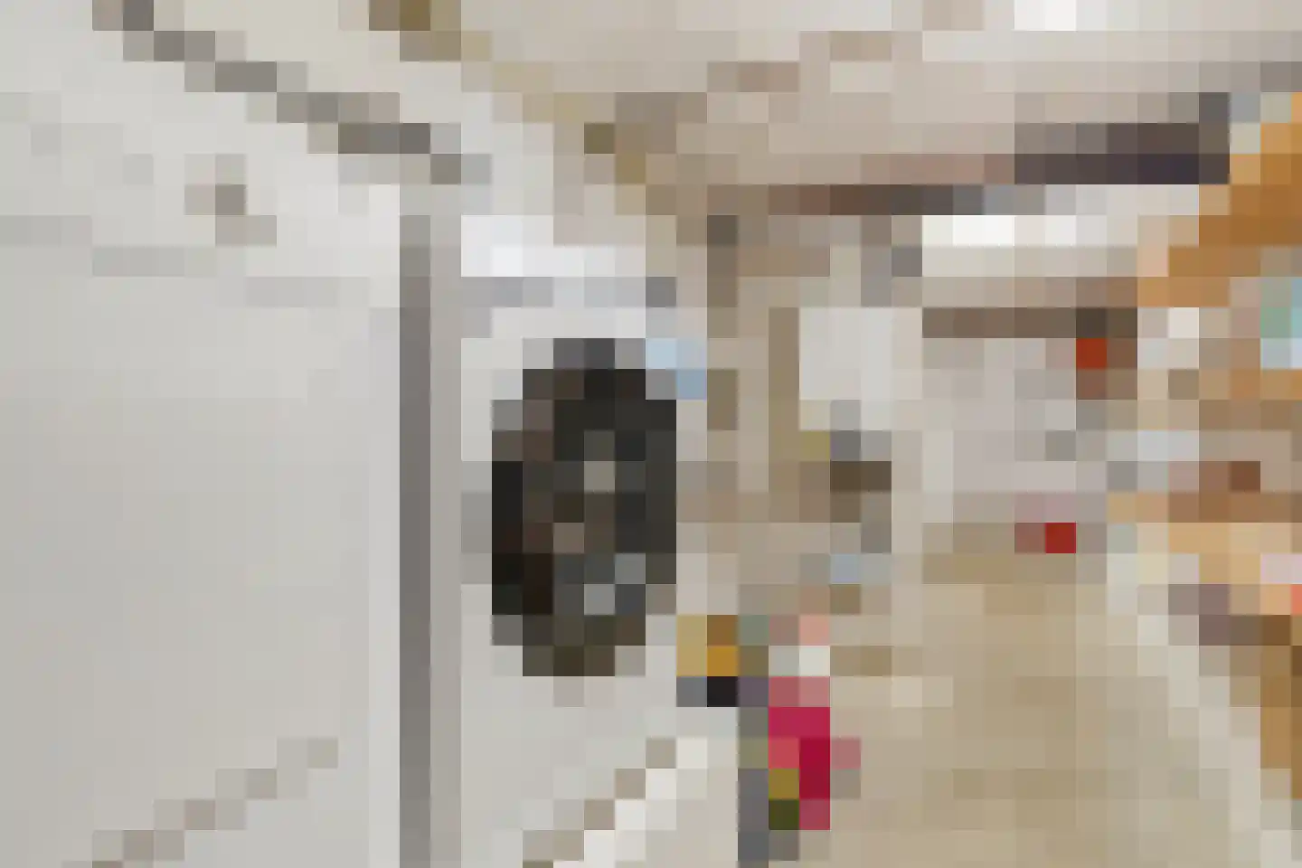 de Genestetstraat 33 Venlo thumbnail 37