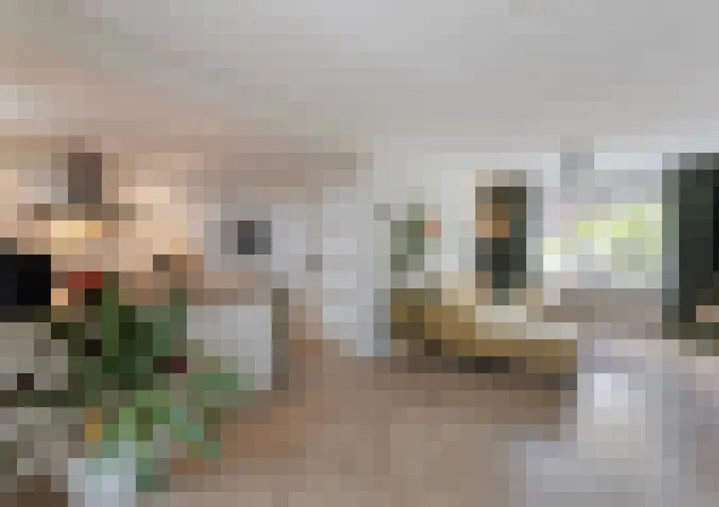 de Genestetstraat 35 Nijverdal thumbnail 12