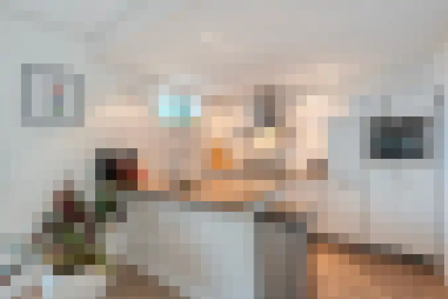 de Genestetstraat 35 Nijverdal thumbnail 13