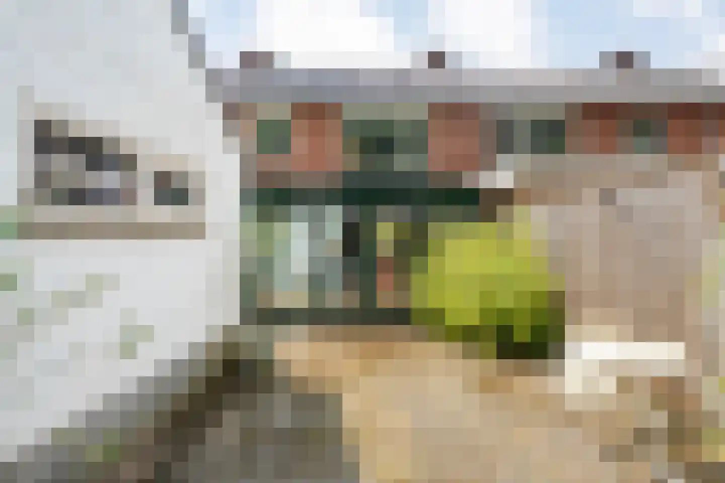 de Genestetstraat 35 Nijverdal thumbnail 26