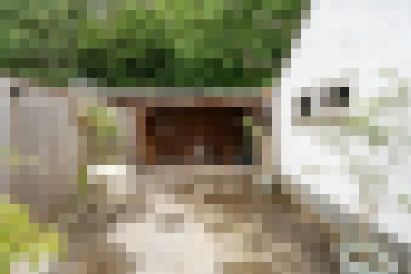de Genestetstraat 35 Nijverdal thumbnail 28