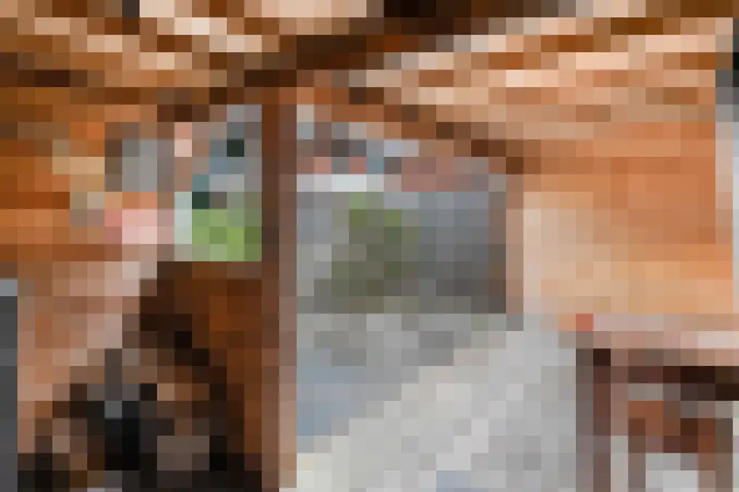 de Genestetstraat 35 Nijverdal thumbnail 32