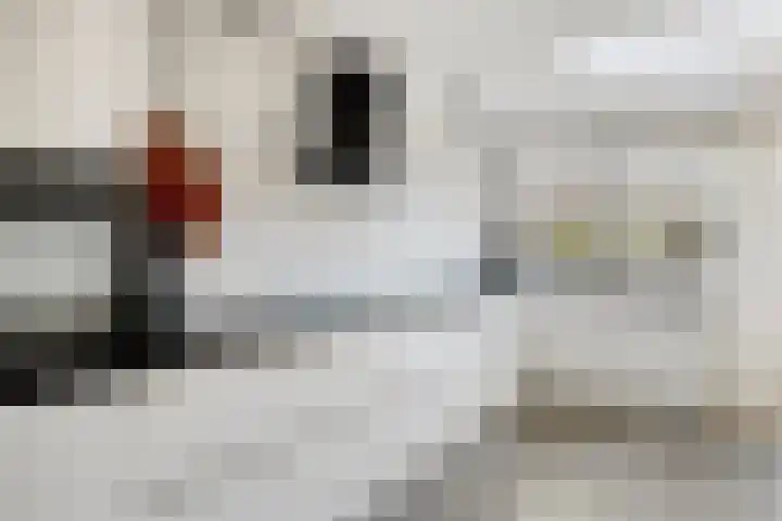 De Genestetstraat 4 Etten-Leur thumbnail 15