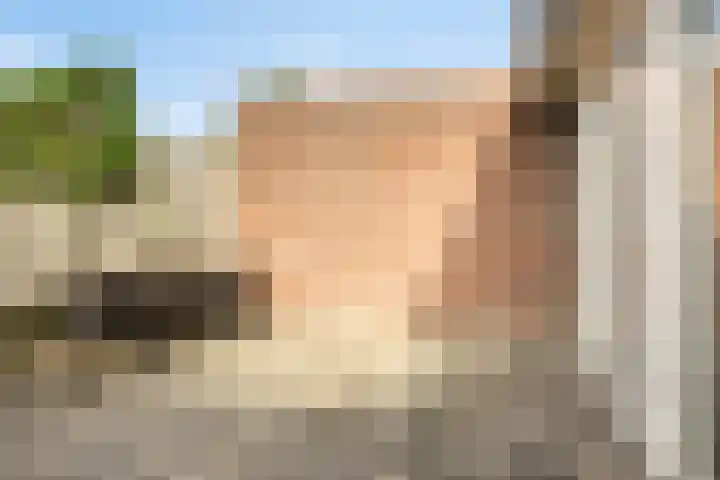 De Genestetstraat 4 Etten-Leur thumbnail 28