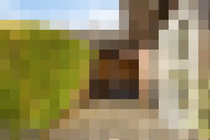 De Genestetstraat 4 Etten-Leur thumbnail 31