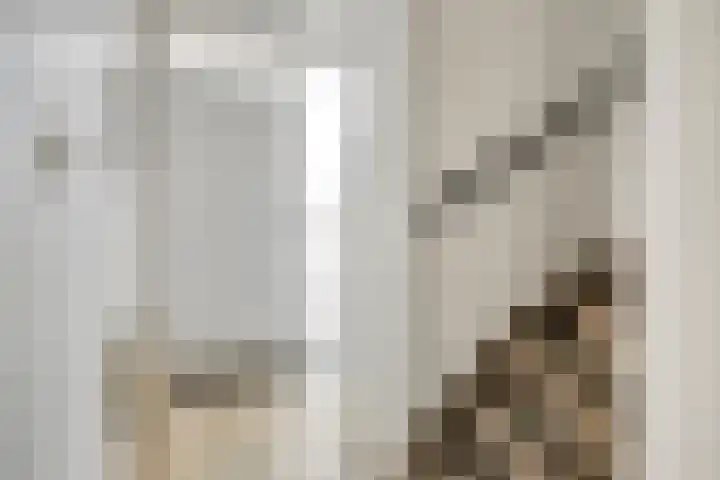 De Genestetstraat 4 Etten-Leur thumbnail 7