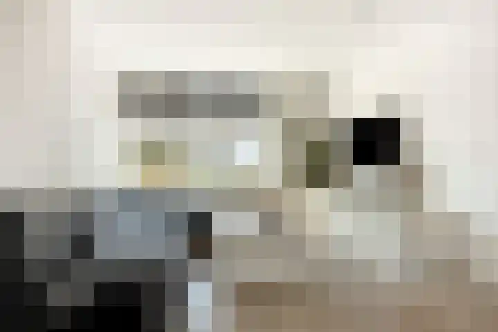 De Genestetstraat 4 Etten-Leur thumbnail 9