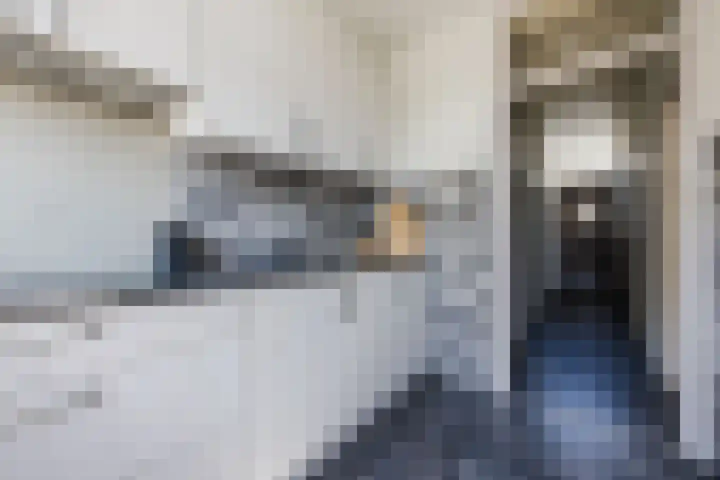 De Génestetstraat 4 Papendrecht thumbnail 5