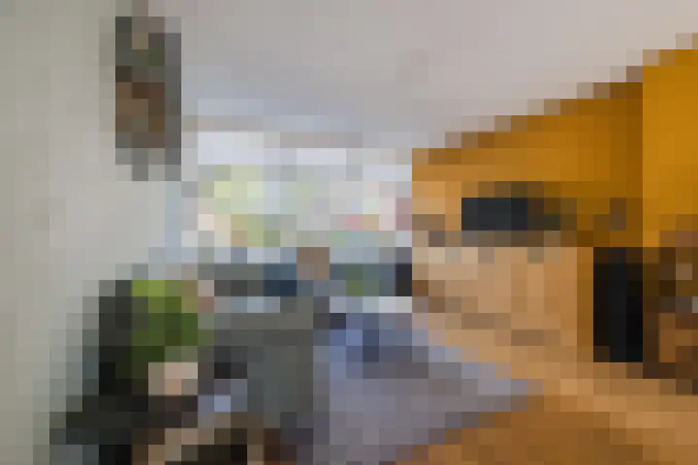De Génestetstraat 4 Papendrecht thumbnail 7