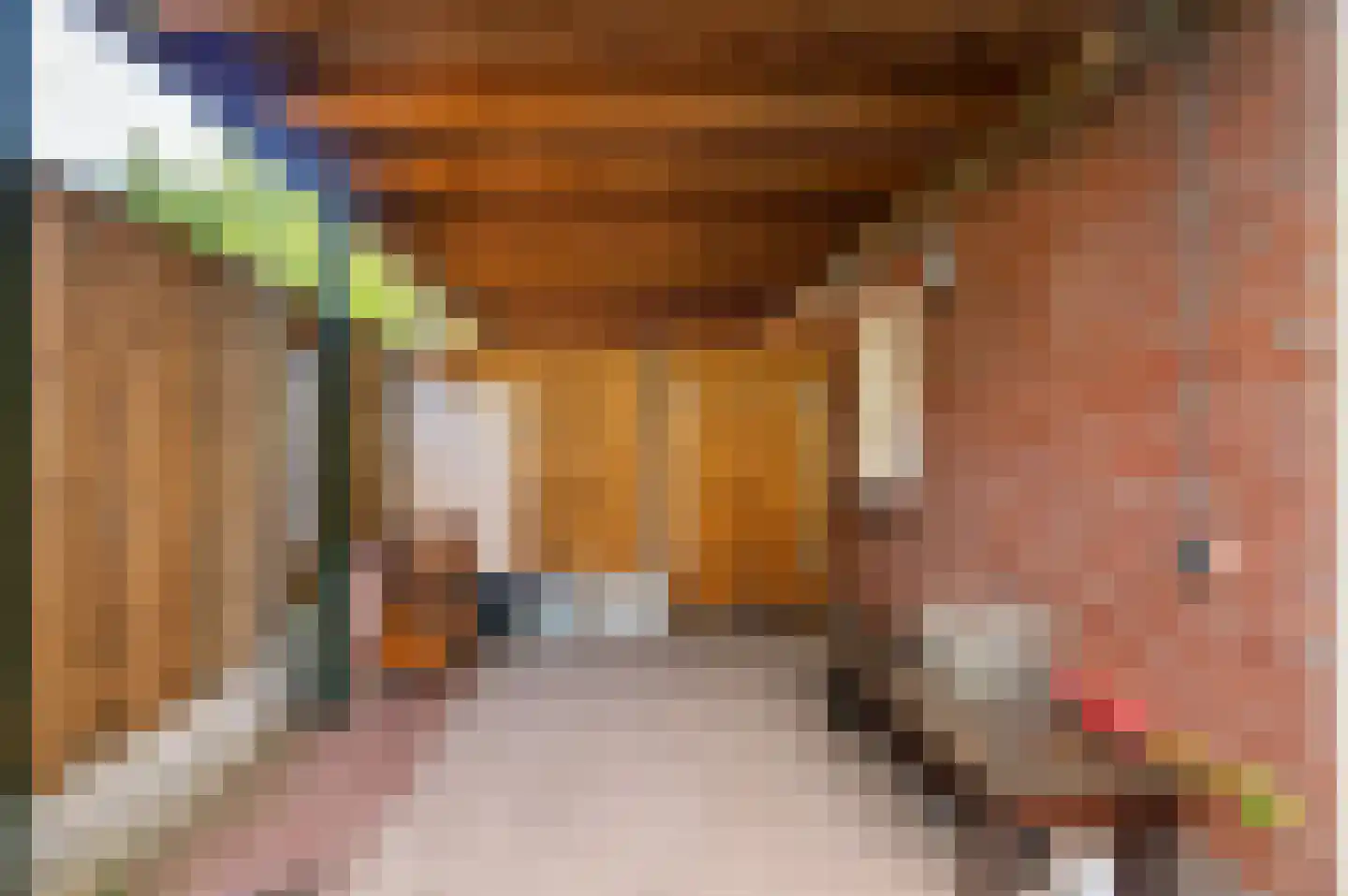 de Genestetstraat 43 Venlo thumbnail 37
