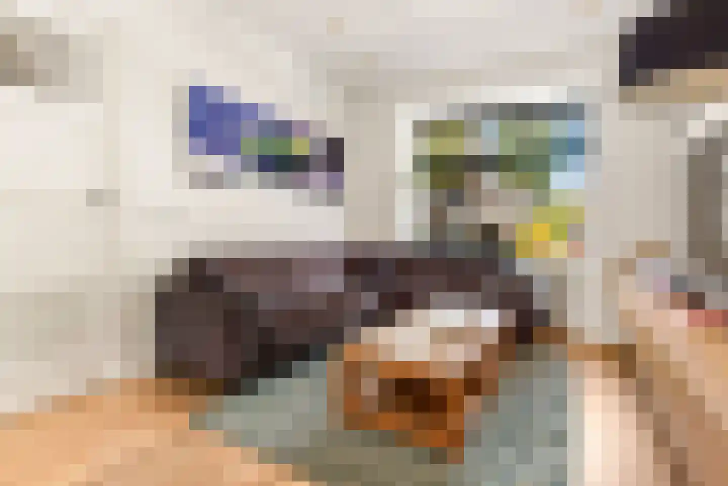De Genestetstraat 44 Haarlem thumbnail 13