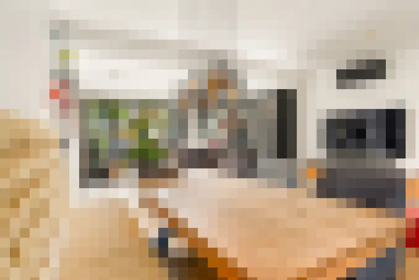 De Genestetstraat 44 Haarlem thumbnail 18