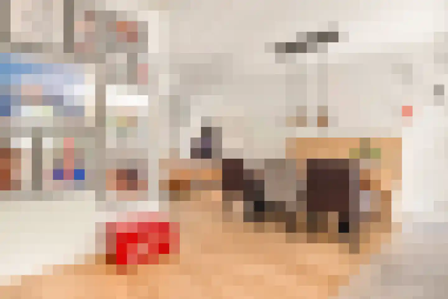 De Genestetstraat 44 Haarlem thumbnail 21