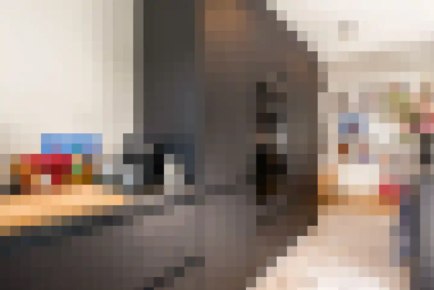 De Genestetstraat 44 Haarlem thumbnail 30