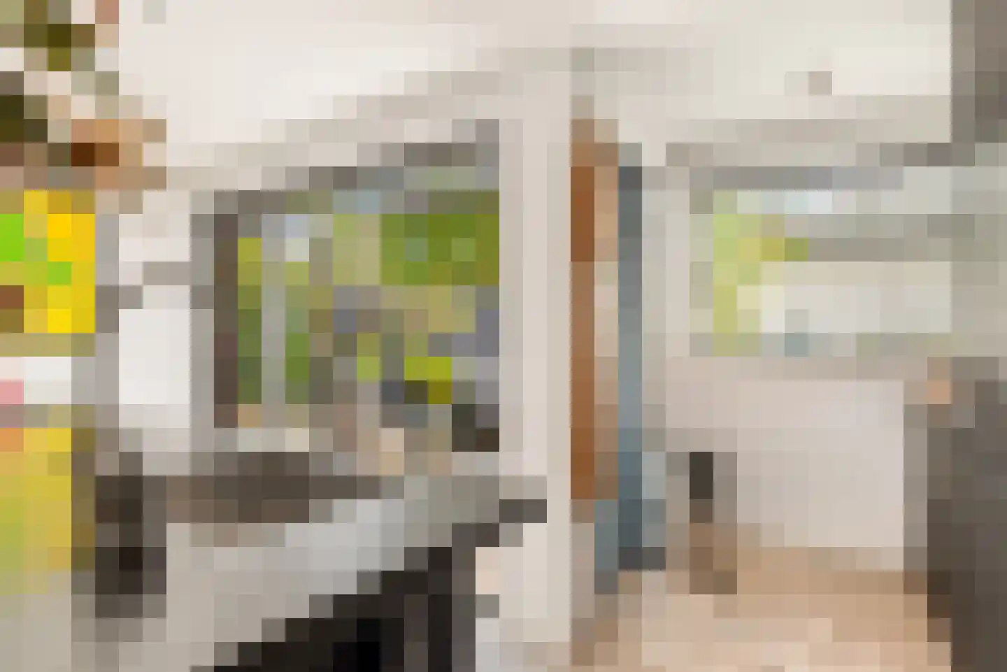 De Genestetstraat 44 Haarlem thumbnail 31