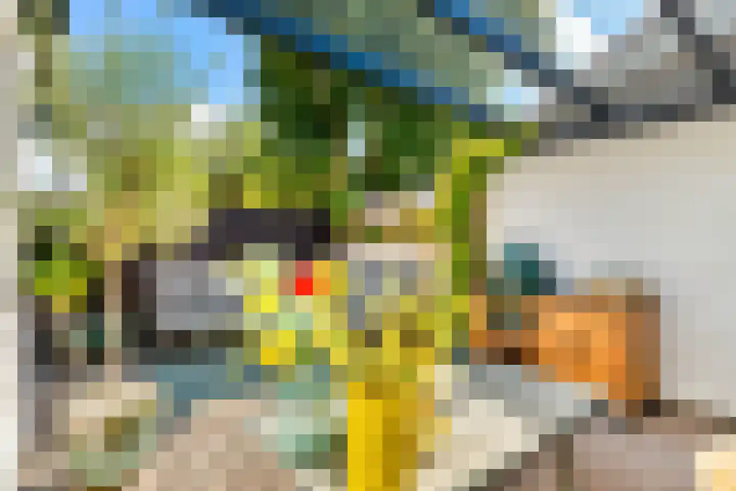 De Genestetstraat 44 Haarlem thumbnail 40
