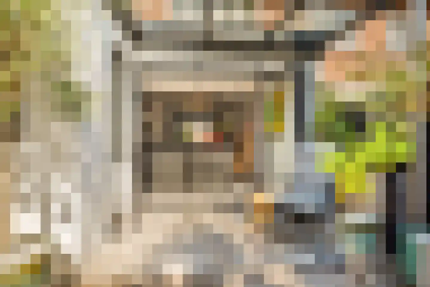 De Genestetstraat 44 Haarlem thumbnail 43