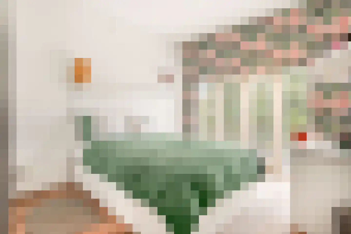 De Genestetstraat 44 Haarlem thumbnail 58
