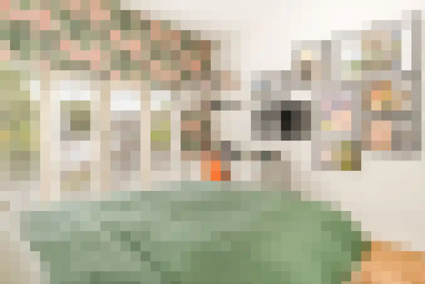 De Genestetstraat 44 Haarlem thumbnail 59