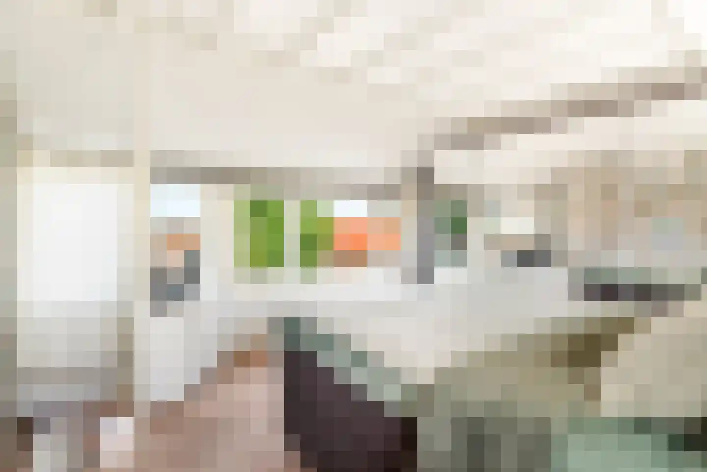 De Genestetstraat 44 Haarlem thumbnail 68