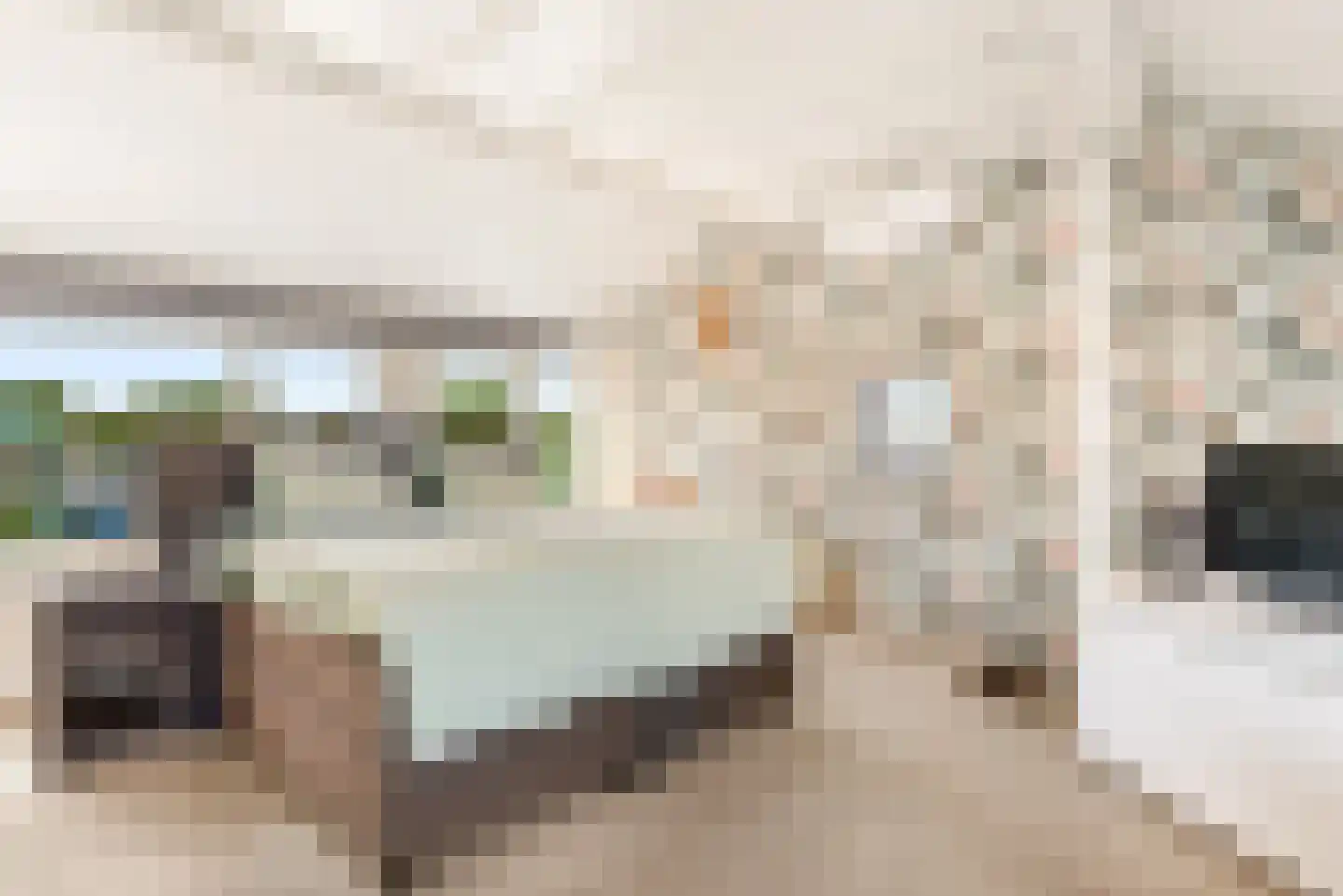 De Genestetstraat 44 Haarlem thumbnail 69