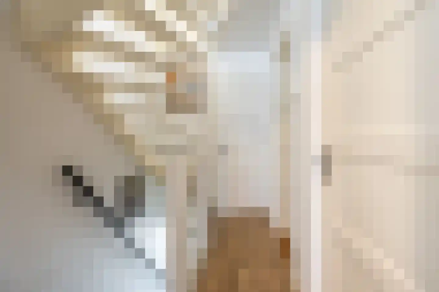 De Genestetstraat 47 Haarlem thumbnail 20