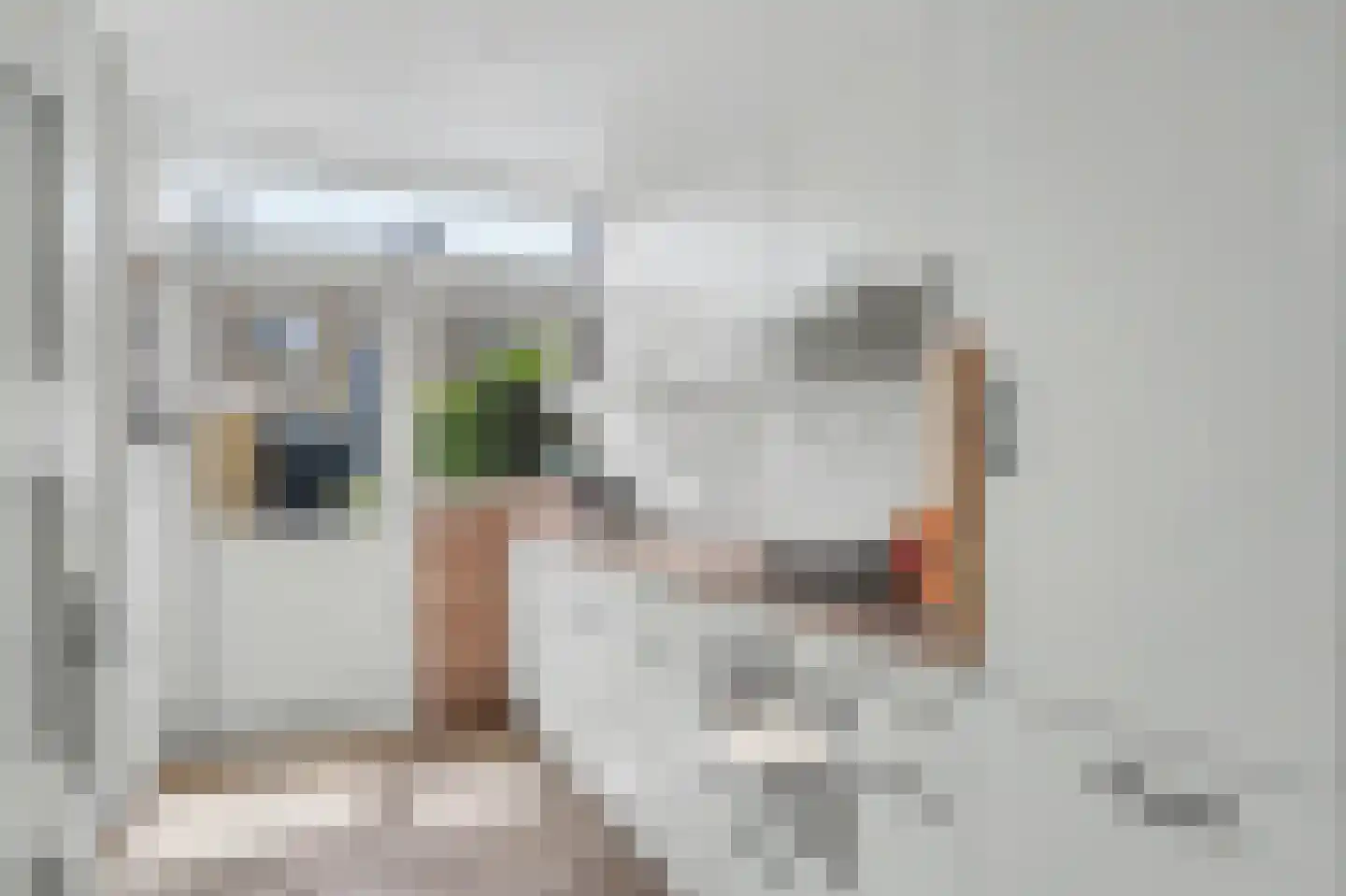 De Genestetstraat 47 Ridderkerk thumbnail 15