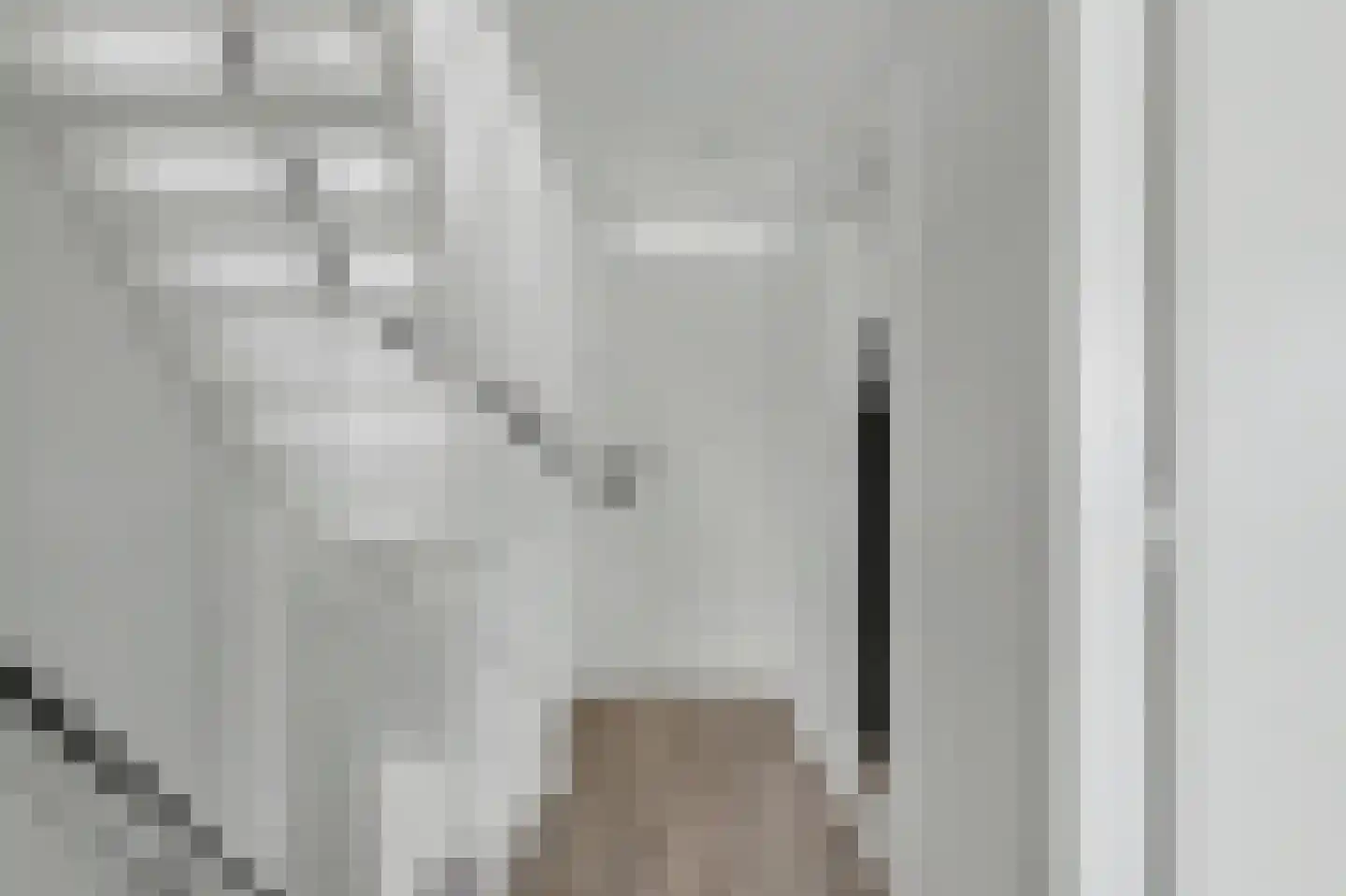 De Genestetstraat 47 Ridderkerk thumbnail 17