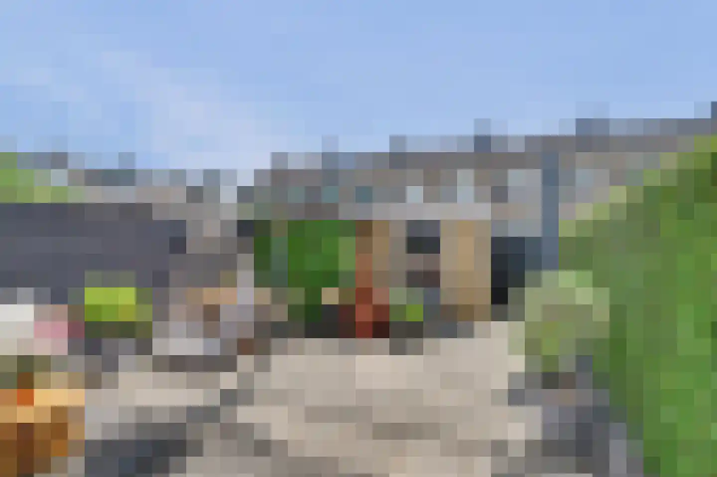 De Genestetstraat 47 Ridderkerk thumbnail 34