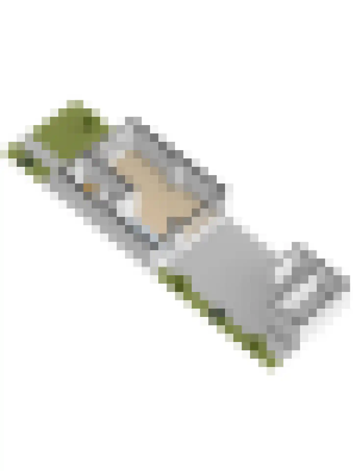 De Genestetstraat 47 Ridderkerk thumbnail 48