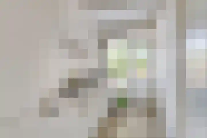 De Genestetstraat 5 Groningen thumbnail 10