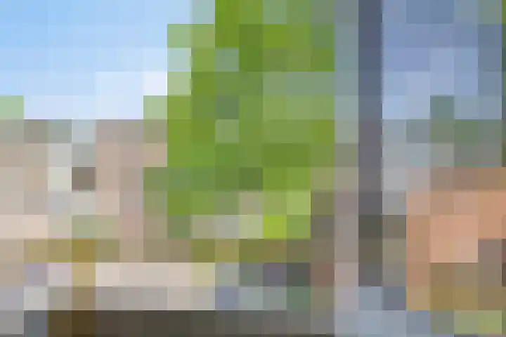 De Genestetstraat 5 Groningen thumbnail 11