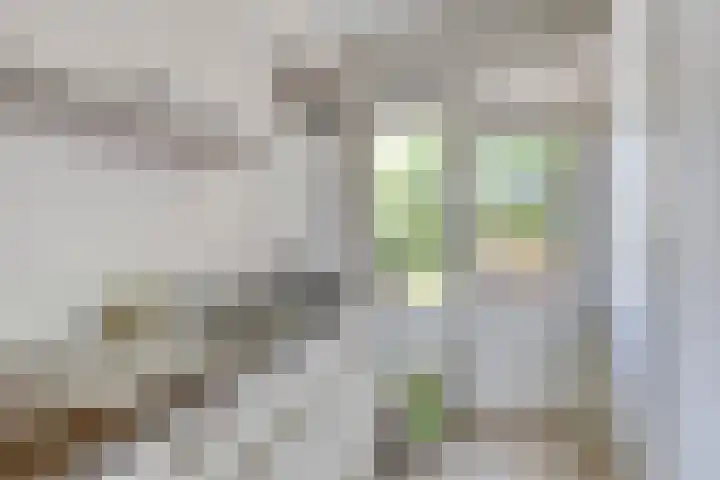 De Genestetstraat 5 Groningen thumbnail 13