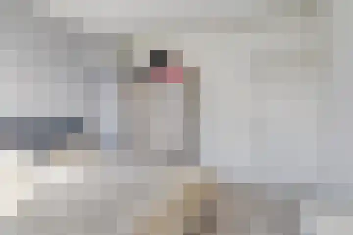 De Genestetstraat 5 Groningen thumbnail 15