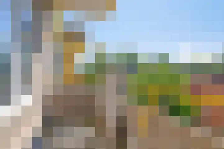 De Genestetstraat 5 Groningen thumbnail 20