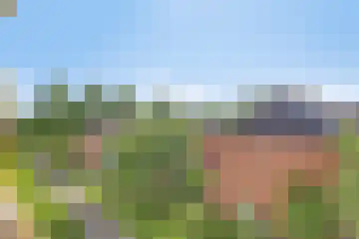 De Genestetstraat 5 Groningen thumbnail 21
