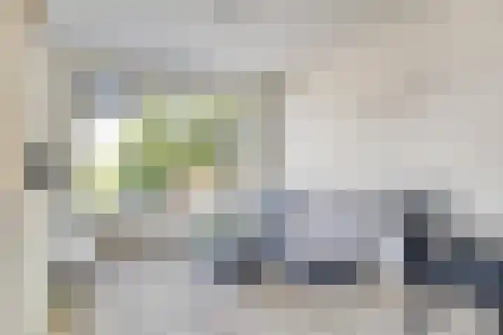De Genestetstraat 5 Groningen thumbnail 5
